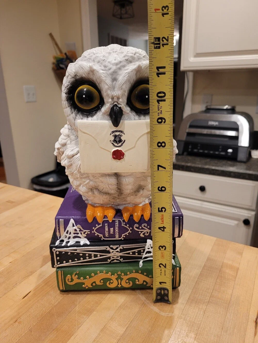 NEW Warner Brothers Harry Potter Hedwig Owl Perched On Books